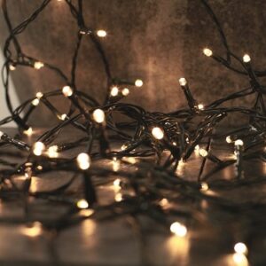 25 Battery Operated LED Warm White Lights