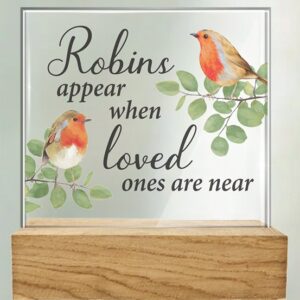 Robin Design Glass Plaque